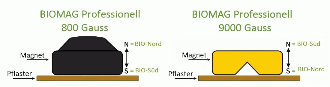 model_biomag9000_800_s